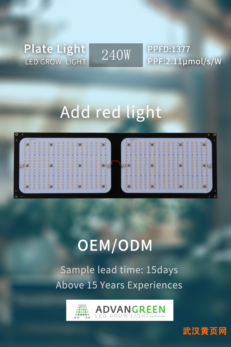 1 Custom quantum board (1)