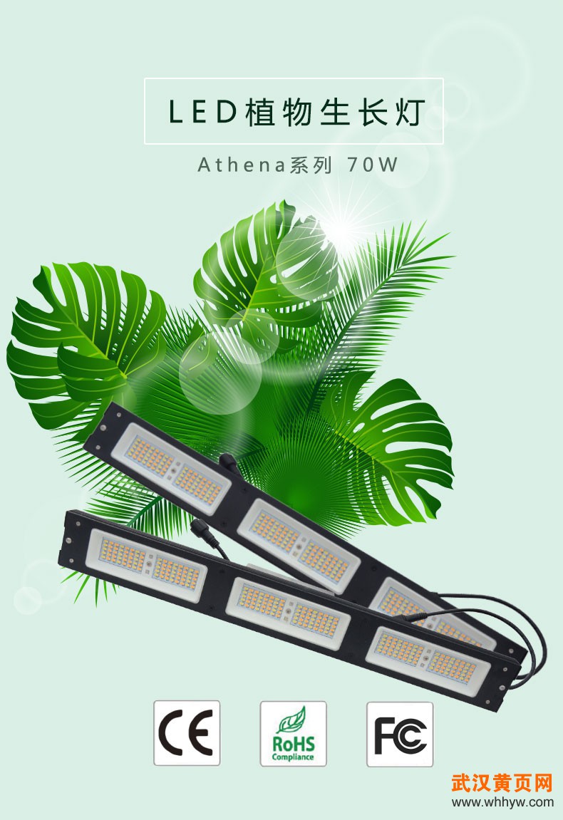 Cy-70wAthena系列植物生长灯_201901